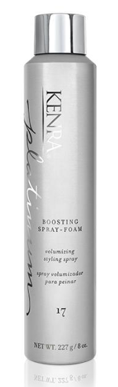 Kenra Platinum Boosting Spray-Foam Volumizing Styling Spray 17