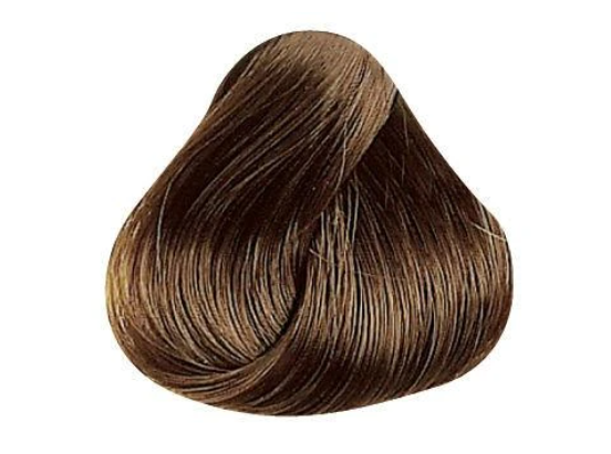 Pravana Chromasilk Permanent Creme Hair Color 6.3/6G