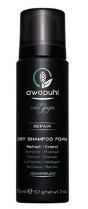 Paul Mitchell Awapuhi Wild Ginger Dry Shampoo Foam