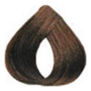 Loreal Preference Permanent Liquid-Creme Haircolor 5 Medium Brown