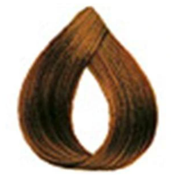 Loreal Preference Permanent Liquid-Creme Haircolor 5.3 Medium Golden Brown