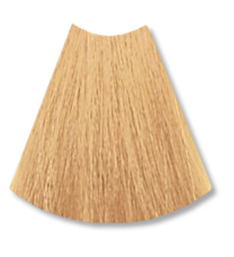 Loreal Technique Excellence HiColor Blondes Permanent Hair Color H15 Golden Ginger