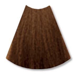 L’Oreal Technique Excellence HiColor Browns Permanent Hair Color H3 Soft Brown