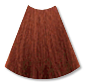 L’Oreal Technique Excellence HiColor Browns Permanent Hair Color H5 Soft Auburn