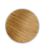 Roux Fanci-Full Temporary Instant Haircolor Mousse - 26 Golden Spell
