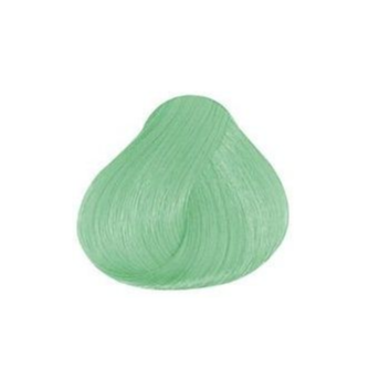 Pravana Chromasilk Semi- Permanent Creme Hair Color Mystical Mint