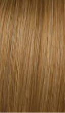Load image into Gallery viewer, Hairdo Style-a-Do/Mini-do Duo Pack  R14/25 Honey Ginger /Golden Blonde
